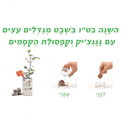 product01